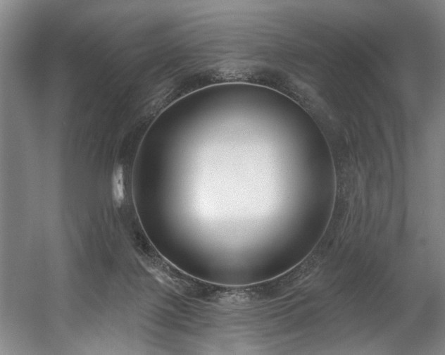 X0000058810075200509301244