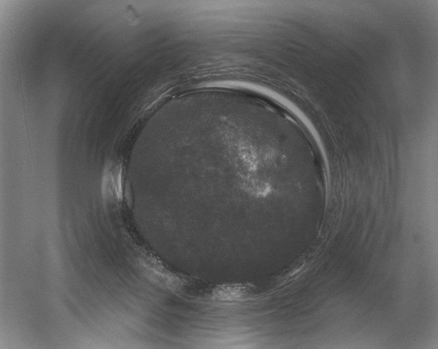 X0000058810076200509301244