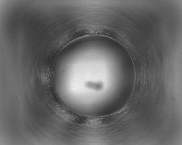 X0000058810078200509301244