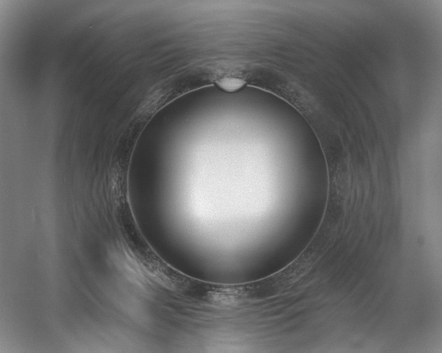 X0000058810079200509301244