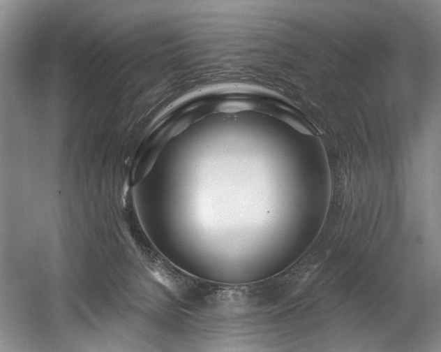 X0000058810080200509301244