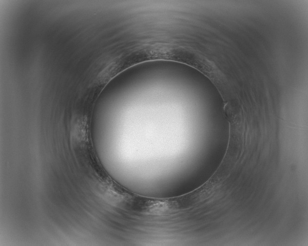 X0000058810083200509301244