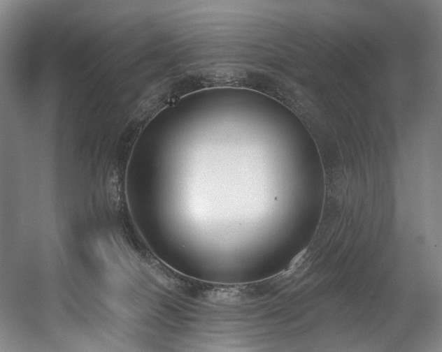 X0000058810086200509301244