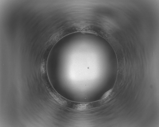 X0000058810090200509301245