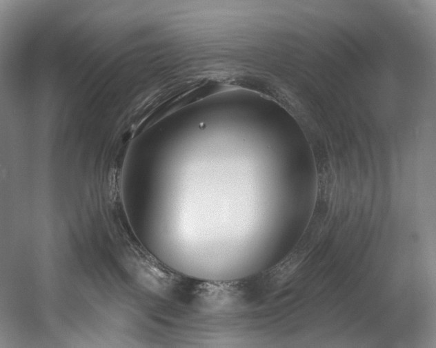 X0000058810093200509301245