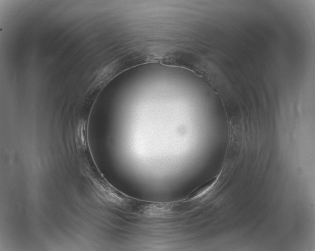 X0000058810094200509301245