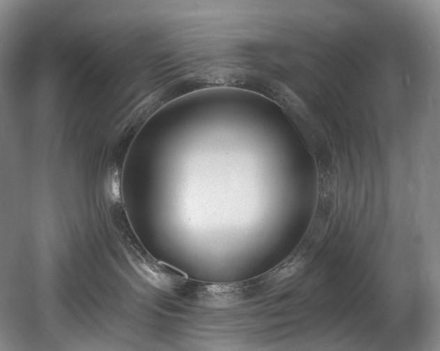 X0000058810095200509301245