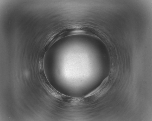 X0000058810096200509301245