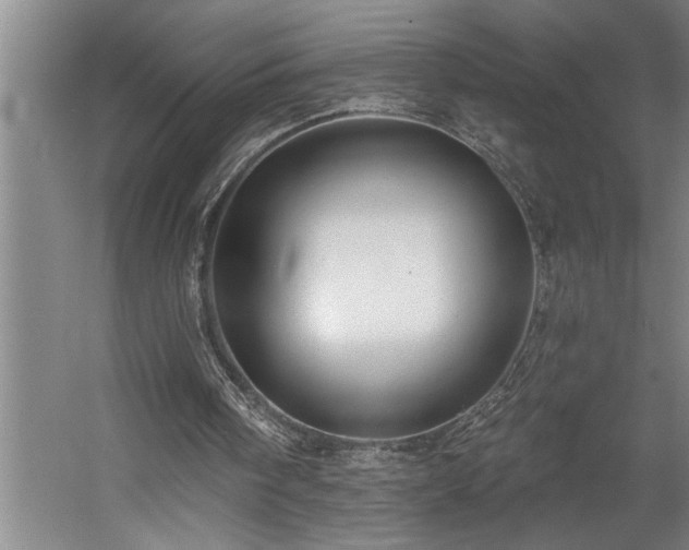 X0000058810098200509301244