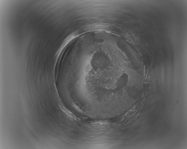 X0000058810099200509301244