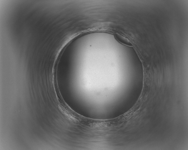 X0000058810100200509301244