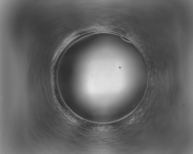 X0000058810103200509301244