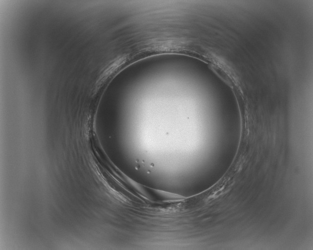 X0000058810105200509301244