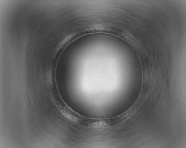 X0000058810112200509301244