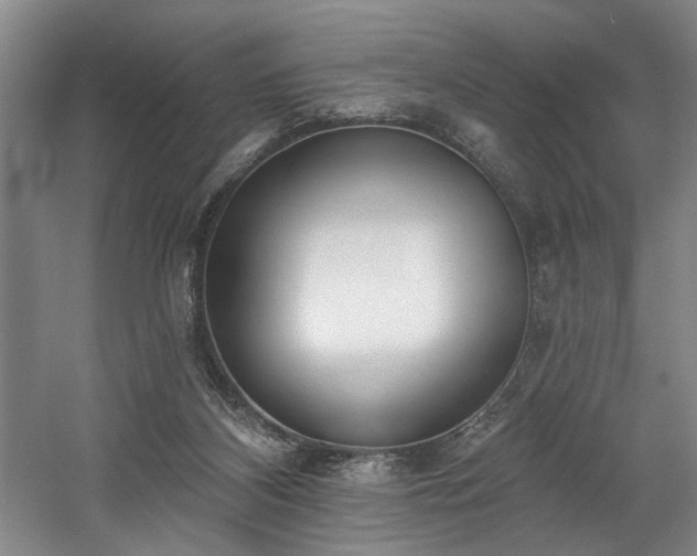 X0000058810116200509301244