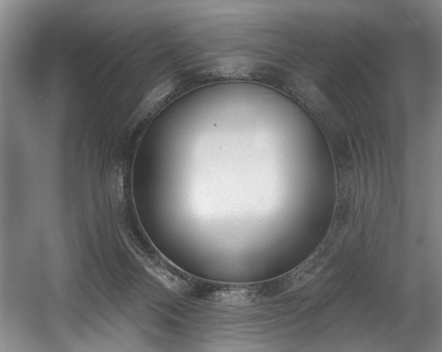 X0000058810120200509301243