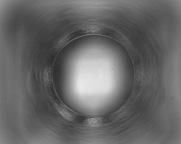 X0000058810126200509301243