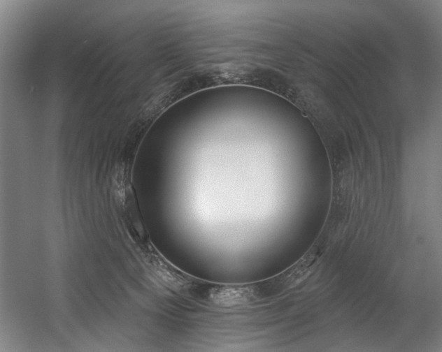 X0000058810129200509301243