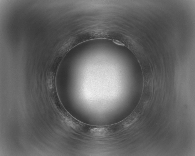 X0000058810133200509301243