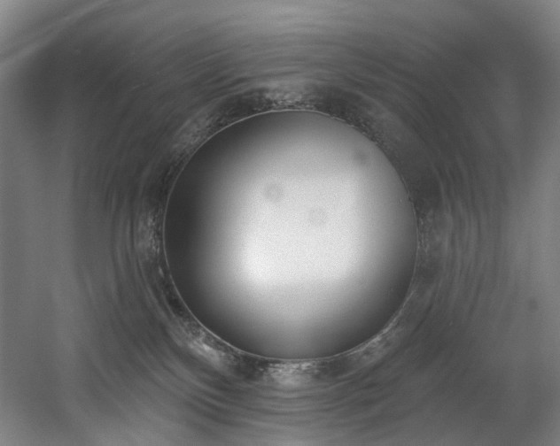 X0000058810136200509301243