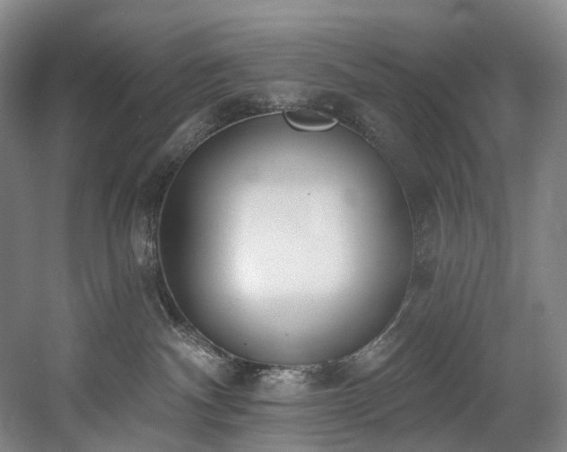 X0000058810140200509301243