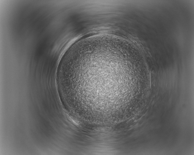 X0000058810147200509301242