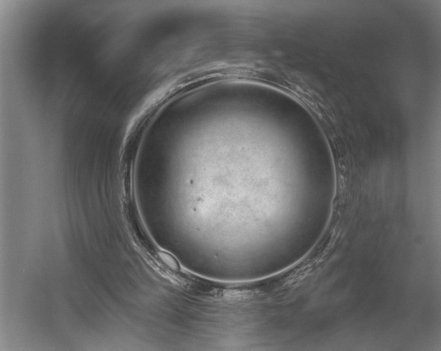 X0000058810149200509301242