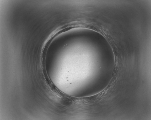 X0000058810150200509301242