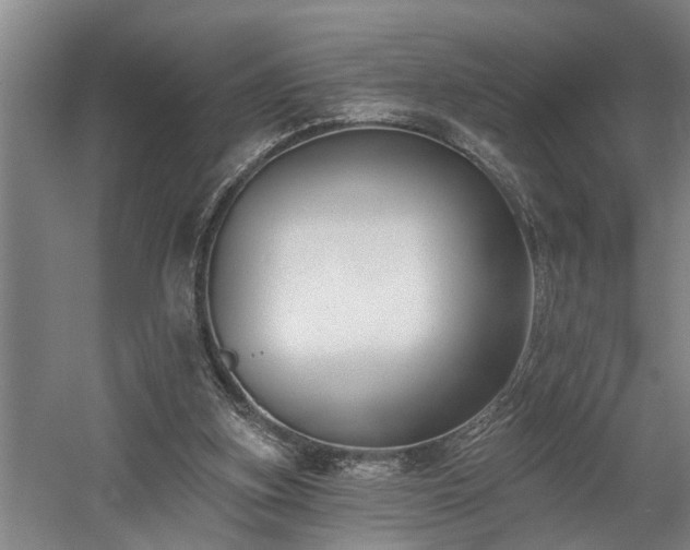 X0000058810155200509301242