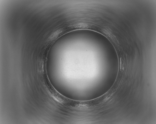 X0000058810157200509301242