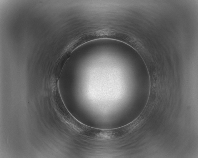 X0000058810164200509301243