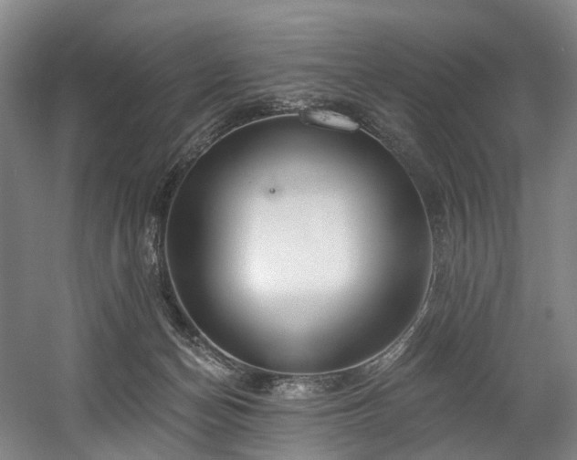 X0000058810174200509301243