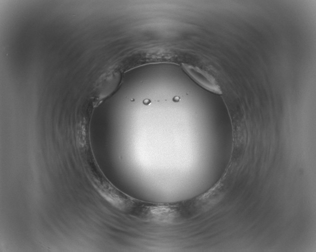 X0000058810183200509301243