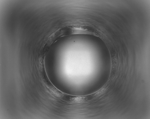 X0000058810184200509301243