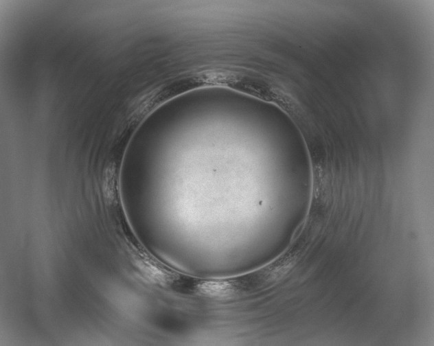 X0000058810189200509301243