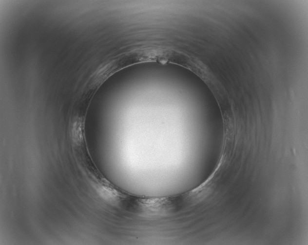 X0000058810191200509301243