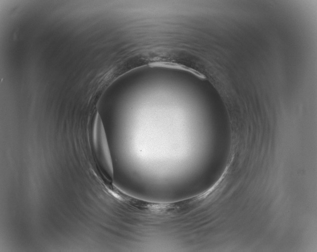 X0000058810192200509301243