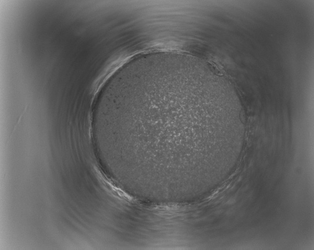 X0000058810194200509301242