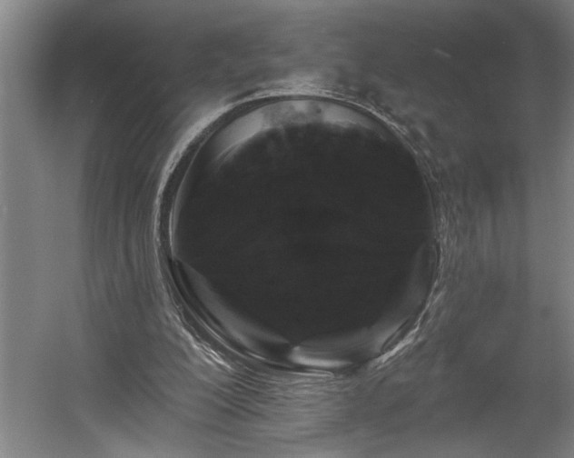 X0000058810200200509301242