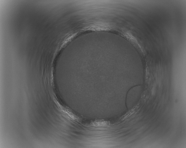 X0000058810202200509301242