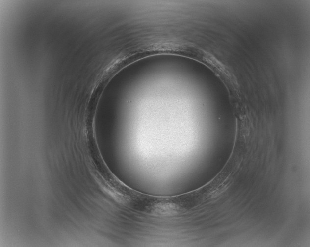 X0000058810203200509301242