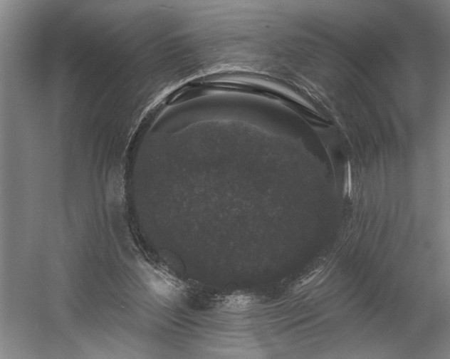 X0000058810204200509301242