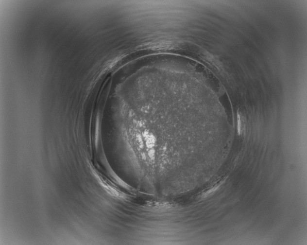 X0000058810205200509301242