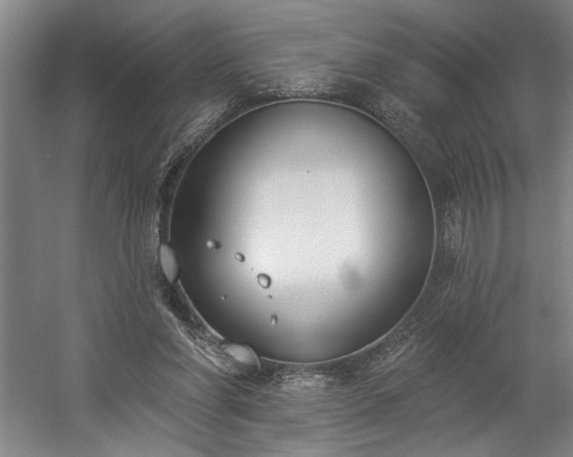 X0000058810206200509301242