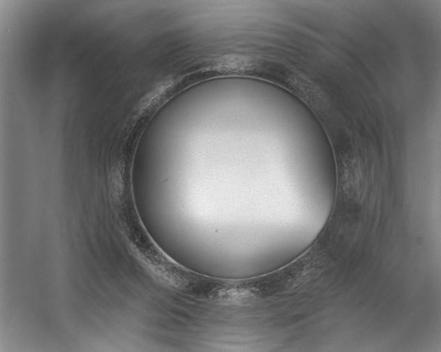 X0000058810208200509301242