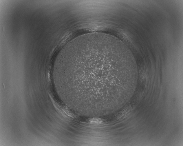 X0000058810214200509301242