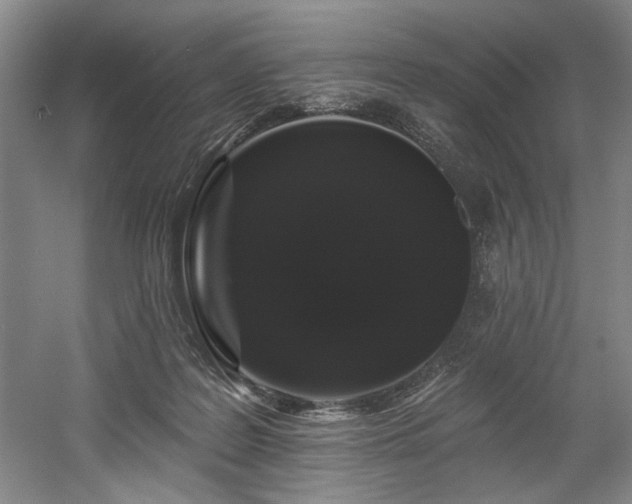 X0000058810219200509301242