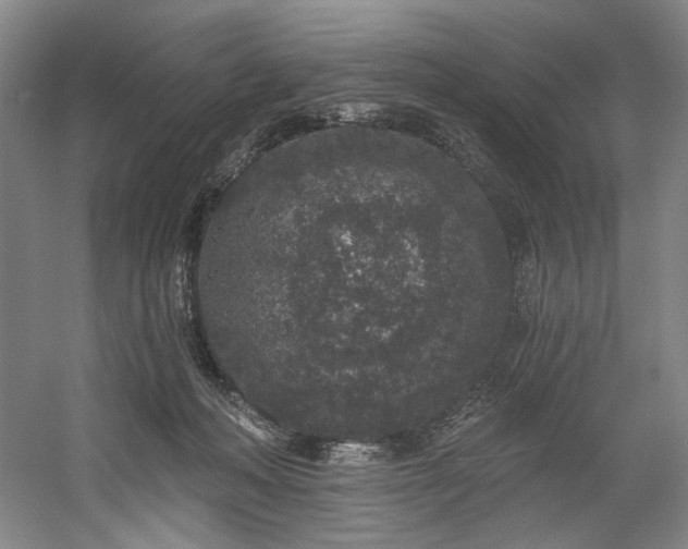 X0000058810222200509301242