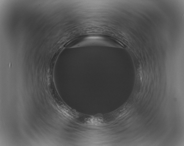 X0000058810223200509301242