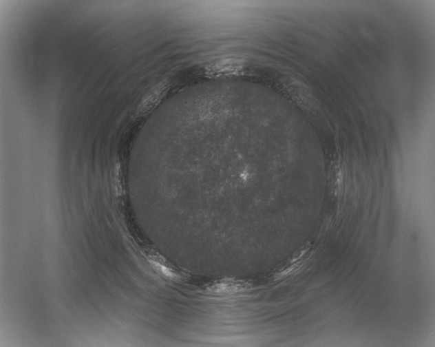 X0000058810224200509301242